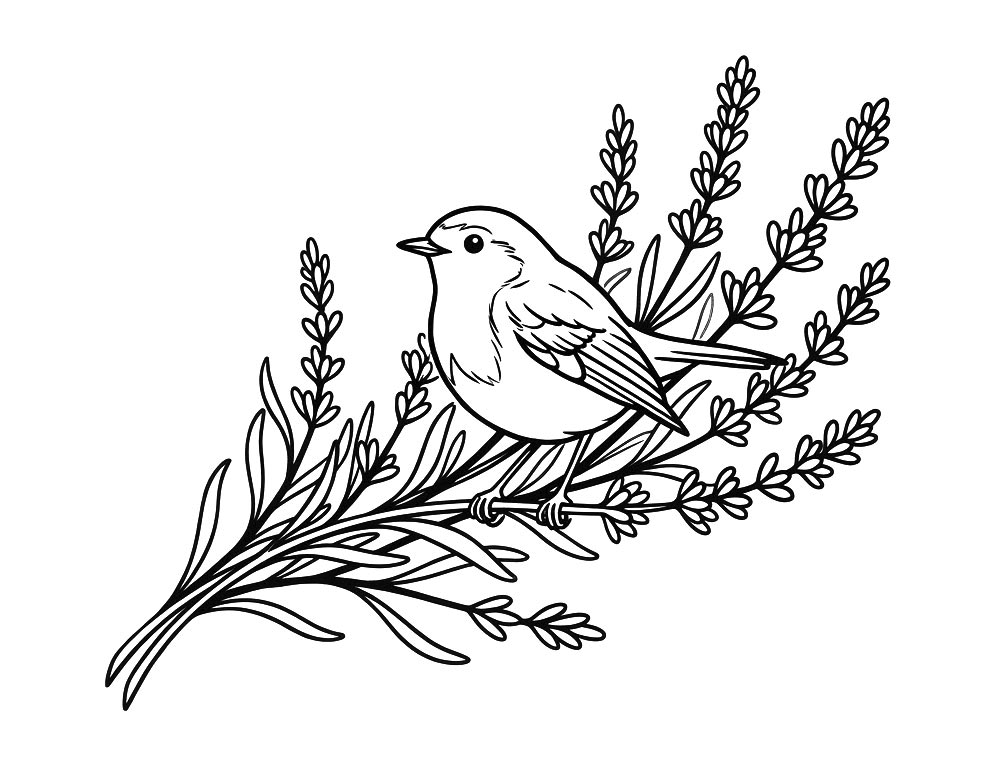 Coronation Complementary Therapies logo